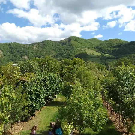 Bed & Breakfast Bujtina Bego