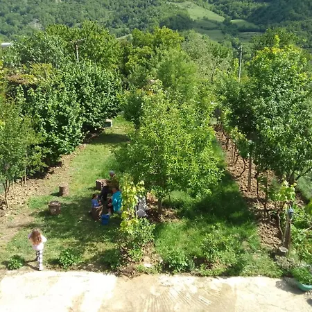 Bujtina Bego 住宿加早餐酒店 Zhaban