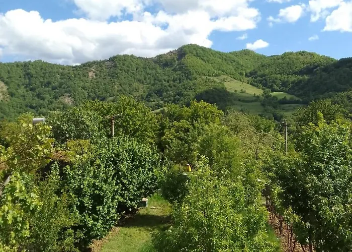 住宿加早餐酒店 Bujtina Bego